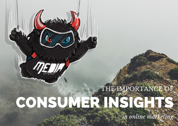 The Importance of Consumer Insights in Online Marketing