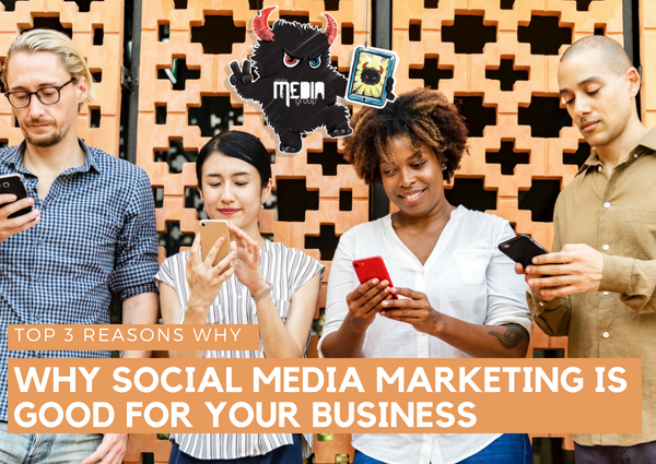 Top 3 Reasons Why Social Media Marketing Is Good for Your Business